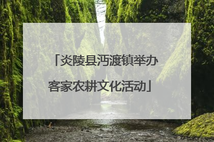 炎陵县沔渡镇举办客家农耕文化活动