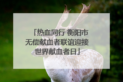 热血同行 衡阳市无偿献血者联谊迎接世界献血者日