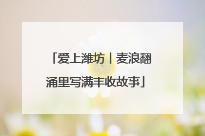 爱上潍坊丨麦浪翻涌里写满丰收故事