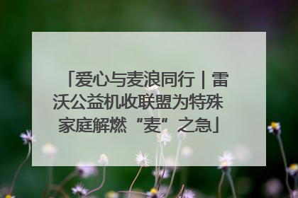爱心与麦浪同行｜雷沃公益机收联盟为特殊家庭解燃“麦”之急