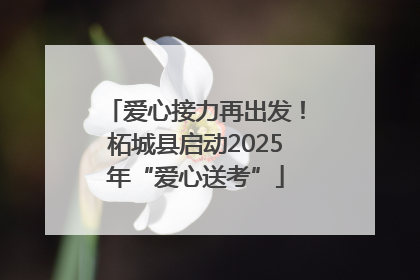爱心接力再出发！柘城县启动2025年“爱心送考”