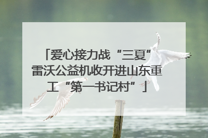 爱心接力战“三夏” 雷沃公益机收开进山东重工“第一书记村”