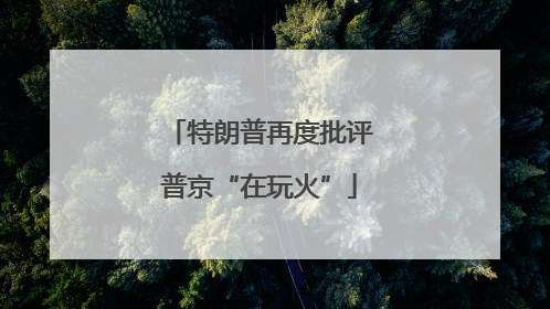 特朗普再度批评普京“在玩火”