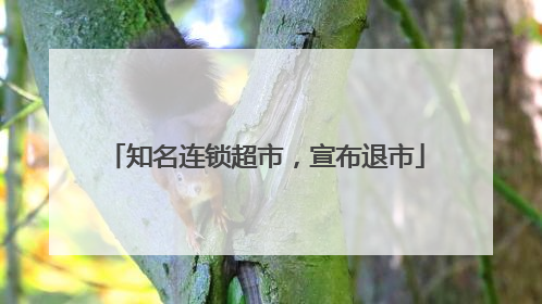知名连锁超市，宣布退市