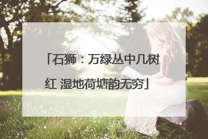 石狮：万绿丛中几树红 湿地荷塘韵无穷