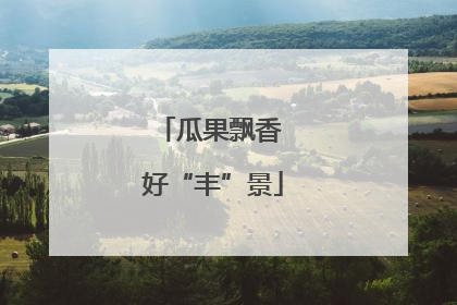 瓜果飘香 好“丰”景