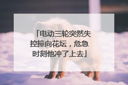 电动三轮突然失控撞向花坛，危急时刻他冲了上去