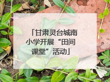 甘肃灵台城南小学开展“田间课堂”活动