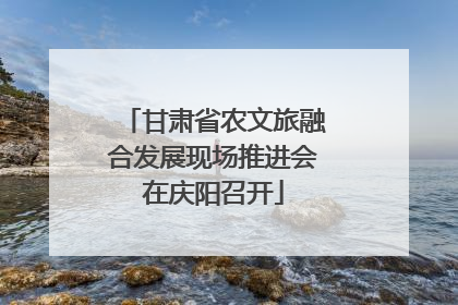 甘肃省农文旅融合发展现场推进会在庆阳召开