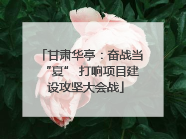 甘肃华亭：奋战当“夏” 打响项目建设攻坚大会战