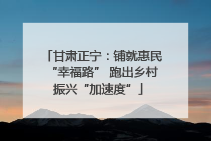 甘肃正宁：铺就惠民“幸福路” 跑出乡村振兴“加速度”