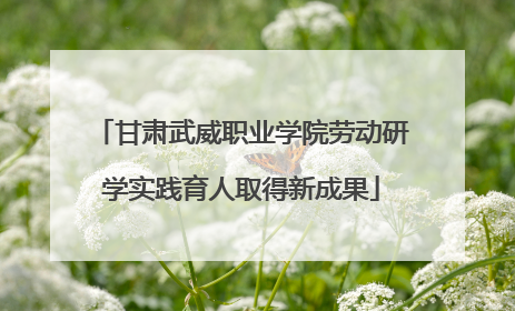甘肃武威职业学院劳动研学实践育人取得新成果