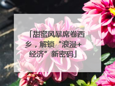 甜蜜风暴席卷西乡，解锁“浪漫+经济”新密码