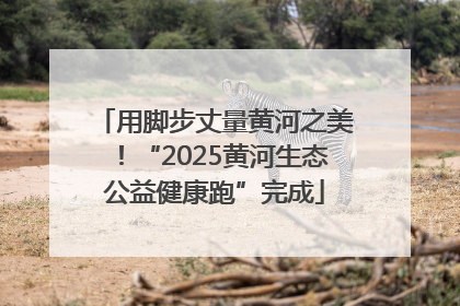 用脚步丈量黄河之美！“2025黄河生态公益健康跑”完成