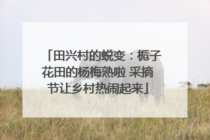 田兴村的蜕变：栀子花田的杨梅熟啦 采摘节让乡村热闹起来