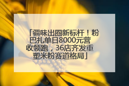 疆味出圈新标杆！粉巴扎单日8000元营收领跑，36店齐发重塑米粉赛道格局