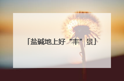 盐碱地上好“丰”景