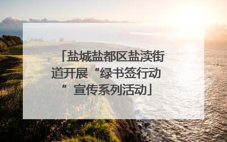 盐城盐都区盐渎街道开展“绿书签行动”宣传系列活动