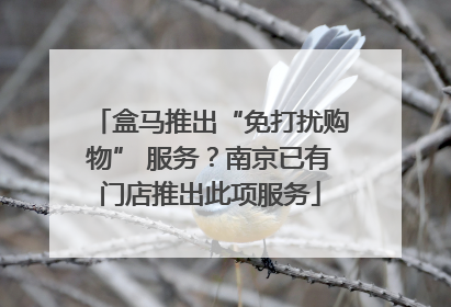 盒马推出“免打扰购物” 服务？南京已有门店推出此项服务