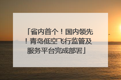 省内首个！国内领先！青岛低空飞行监管及服务平台完成部署