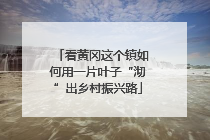 看黄冈这个镇如何用一片叶子“沏”出乡村振兴路