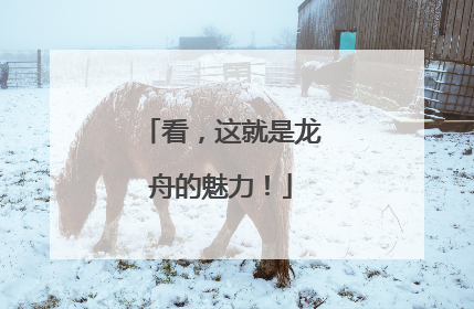 看，这就是龙舟的魅力！