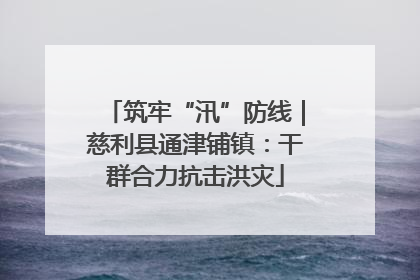 筑牢“汛”防线｜慈利县通津铺镇：干群合力抗击洪灾