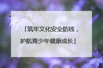 筑牢文化安全防线，护航青少年健康成长