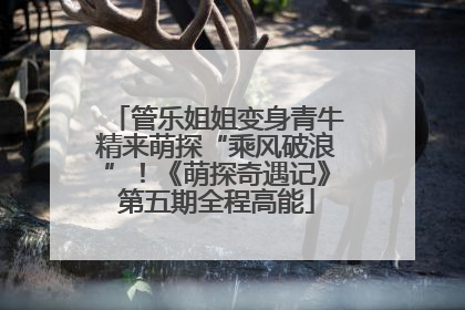 管乐姐姐变身青牛精来萌探“乘风破浪”！《萌探奇遇记》第五期全程高能
