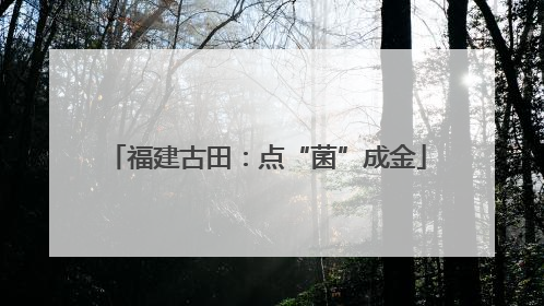 福建古田：点“菌”成金