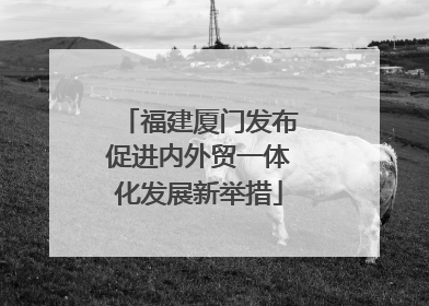 福建厦门发布促进内外贸一体化发展新举措