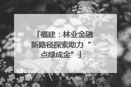福建：林业金融新路径探索助力“点绿成金”