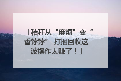 秸秆从“麻烦”变“香饽饽” 打捆回收这波操作太赚了！
