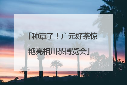 种草了！广元好茶惊艳亮相川茶博览会