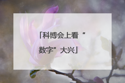 科博会上看“数字”大兴