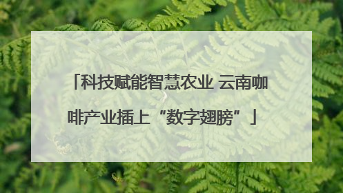 科技赋能智慧农业 云南咖啡产业插上“数字翅膀”
