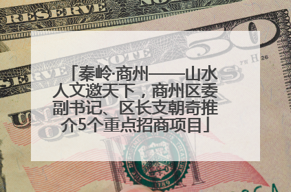 秦岭·商州——山水人文邀天下，商州区委副书记、区长支朝奇推介5个重点招商项目