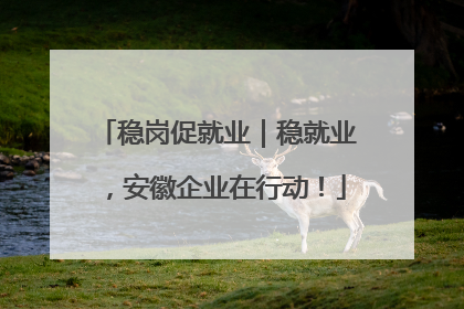 稳岗促就业｜稳就业，安徽企业在行动！