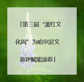 第三届“萧红文化周”为哈尔滨文旅IP赋能添彩
