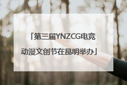 第三届YNZCG电竞动漫文创节在昆明举办