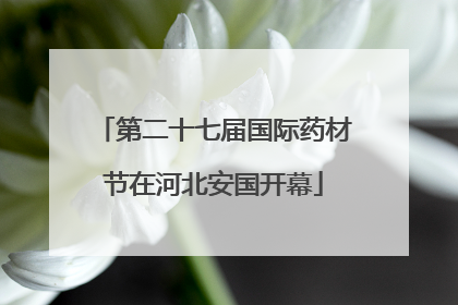 第二十七届国际药材节在河北安国开幕