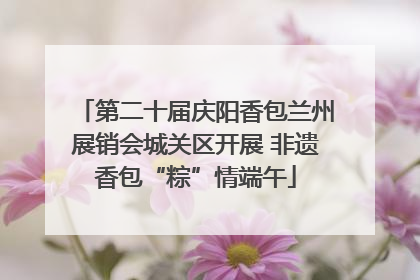第二十届庆阳香包兰州展销会城关区开展 非遗香包“粽”情端午