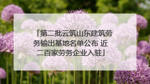 第二批云筑山东建筑劳务输出基地名单公布 近二百家劳务企业入驻