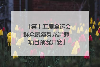 第十五届全运会群众展演舞龙舞狮项目预赛开赛