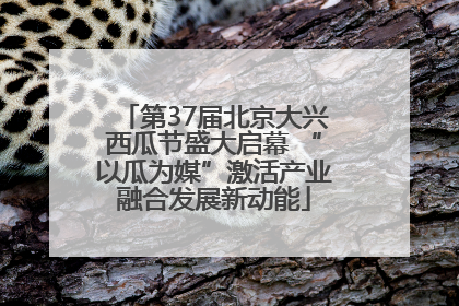 第37届北京大兴西瓜节盛大启幕 “以瓜为媒”激活产业融合发展新动能