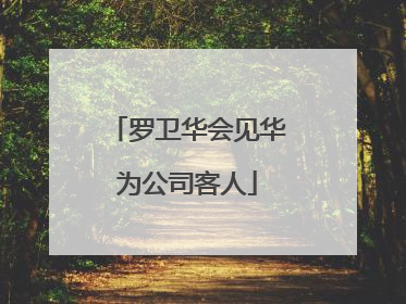 罗卫华会见华为公司客人