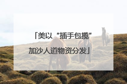 美以“插手包揽”加沙人道物资分发