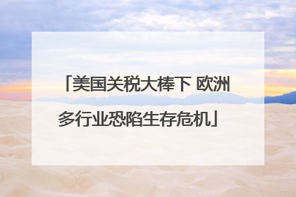 美国关税大棒下 欧洲多行业恐陷生存危机