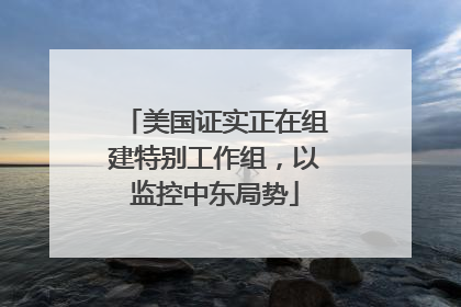 美国证实正在组建特别工作组，以监控中东局势