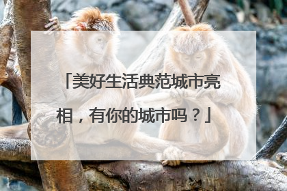 美好生活典范城市亮相，有你的城市吗？